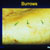 thumbnail image of Scabies: showing burrows