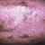 thumbnail image of Bacillary angiomatosis